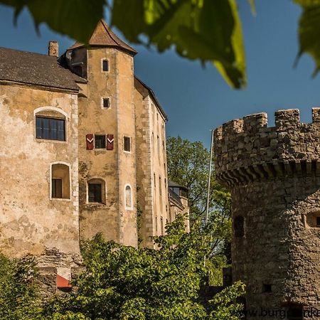 Hotel Burg Plankenstein Texing Zewnętrze zdjęcie