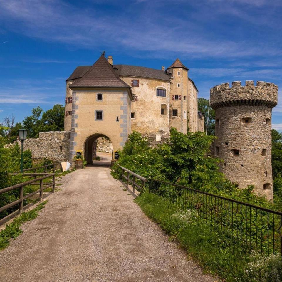 Hotel Burg Plankenstein Texing Zewnętrze zdjęcie