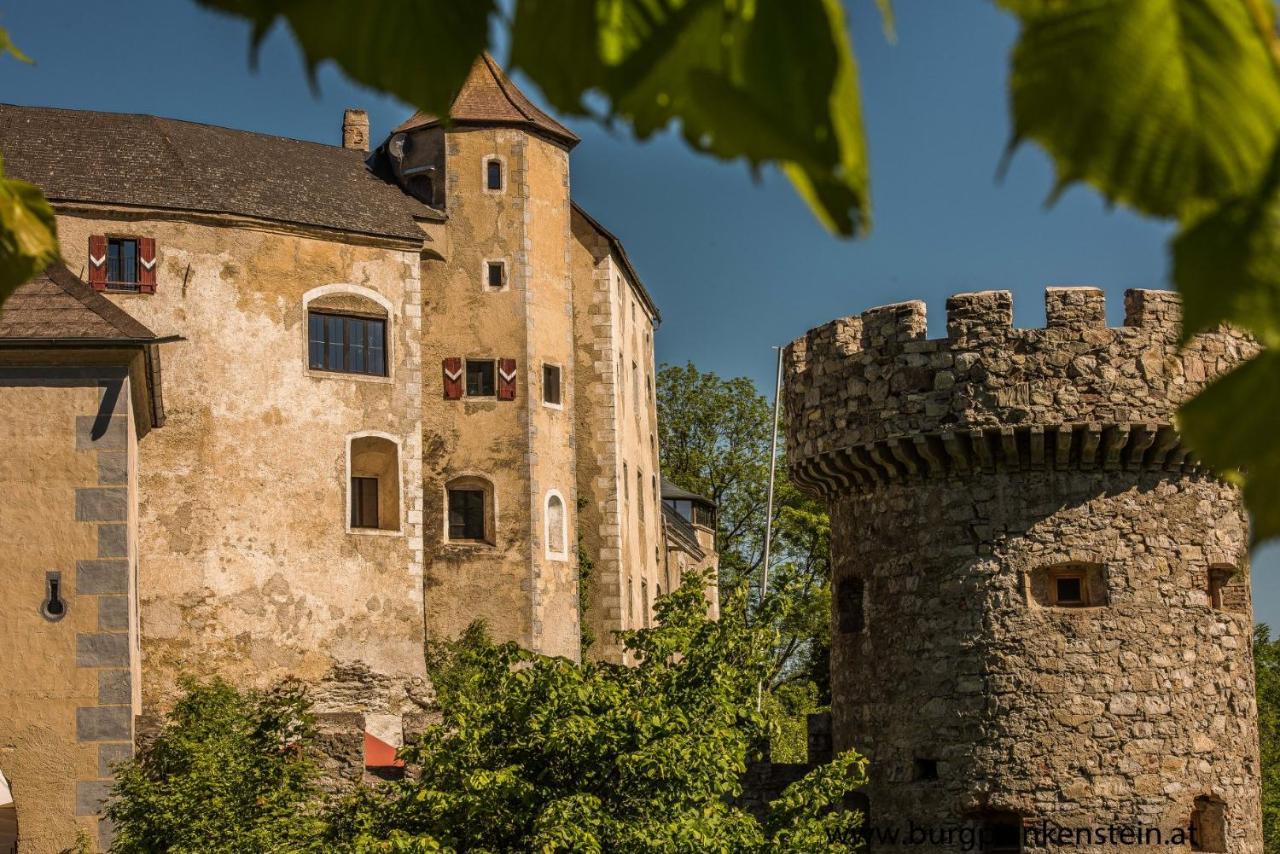 Hotel Burg Plankenstein Texing Zewnętrze zdjęcie