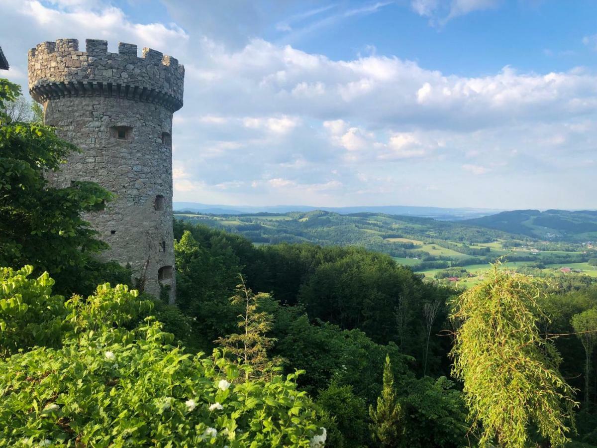 Hotel Burg Plankenstein Texing Zewnętrze zdjęcie