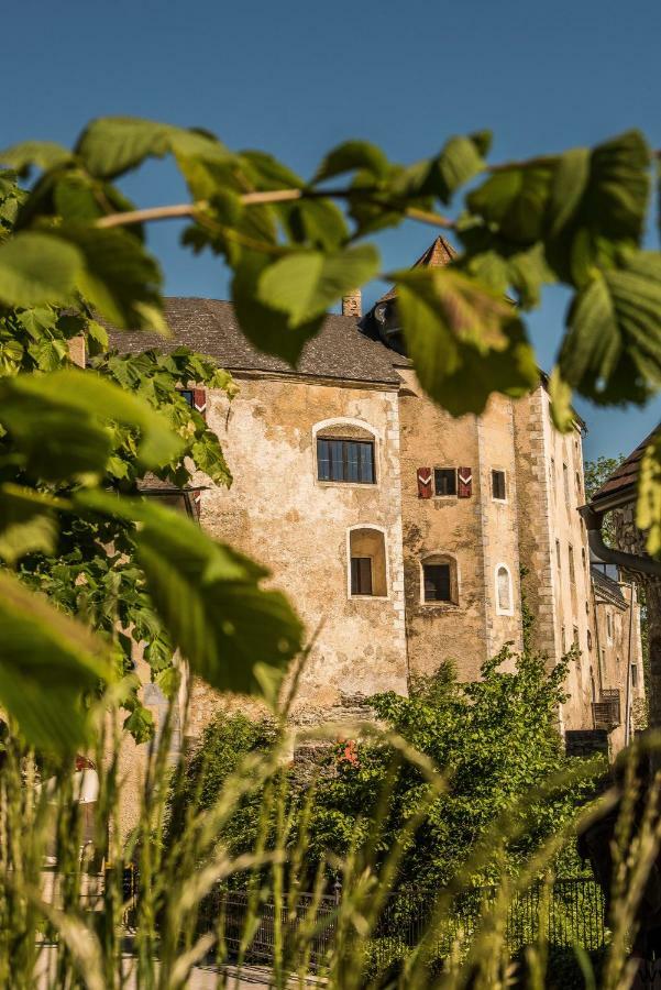 Hotel Burg Plankenstein Texing Zewnętrze zdjęcie