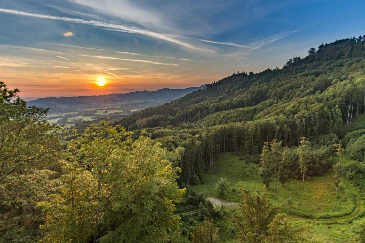 Hotel Burg Plankenstein Texing Zewnętrze zdjęcie